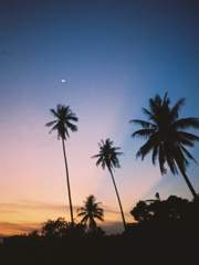 좋은걸 뭐 어떡해