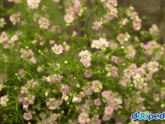 캐릭터 코디 모음-1