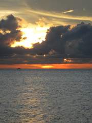 소원을 들어줘.