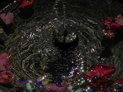 𝗩𝗮𝗹𝗲𝗻𝘁𝗶𝗻𝗮 𝗔 𝗙𝗹𝗼𝗿𝗲𝘀