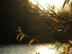 [忘机无羡] 찬란히 부서지는 가을빛 : 1