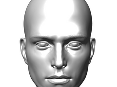 남성 기본 두상