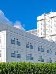 멈춰요, 경관님!