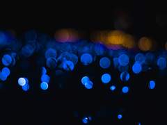 카일룸 종족설정