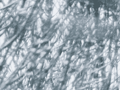 천설영 | 수행로그_002