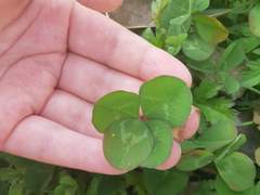 은퇴한 히어로와 빌런