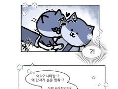 이부시마 포리마루