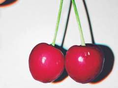 옛말은 다 이유가 있는 법