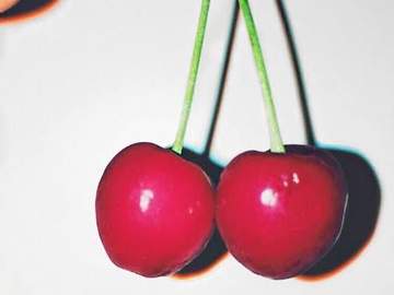 옛말은 다 이유가 있는 법