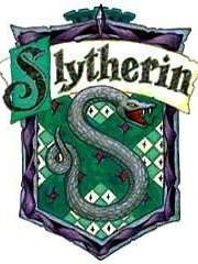 [리들해리] 해리 포터와 슬리데린의 오르골