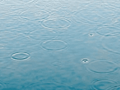 ─ 라키오르의 오르골과 심해의 레퀴엠