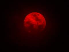 Ｈａｎｎａ Ｂ Ｖａｌｅｎｔｉｎｅ