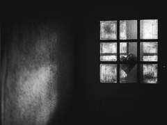 타카하시 마사후미님에게