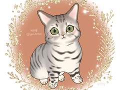 연두부웅 커미션 안내