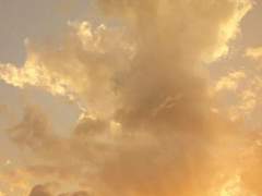 Theodore J. Lascelles