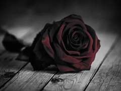 그레첸들의 기록.