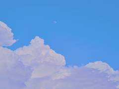 멈춰요, 경관님! - 1