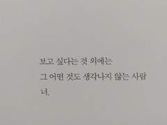 고요하던 마음에 그대가 울려 퍼져요