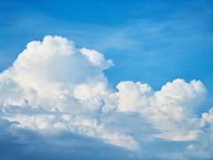 아라이 타이세이