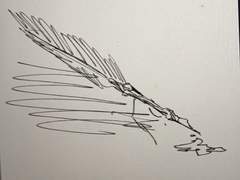 :: 𝑪𝑯𝑬𝑪𝑲𝑴𝑨𝑻𝑬 ::