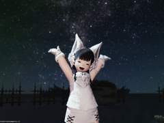 FF14 : 2018.11.09 ~ 2018.11.14