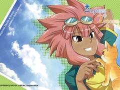 츠나미랑 고양이랑