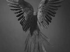 제 1장, 바이든의 속삭임