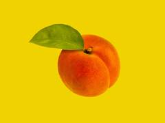 피치 망고 스위티 XV