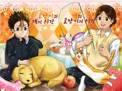 고양이와 개의 시간