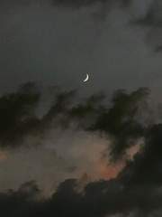 캘리그라피 커미션