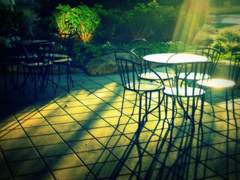 『 세계의 마지막 발버둥. 』