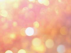 [하랑하루] 봄날의 결혼식