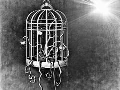 [키릭스/이자벨] 돌아갈 수 없는 탕아들