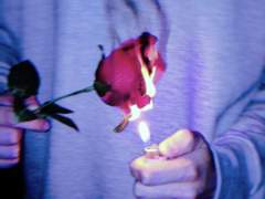 [아사히노 스즈카|3학년|여성]