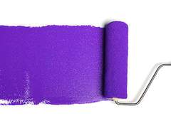 나무늘보와 친구가 되는 법