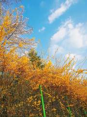 봄, 여름, 가을, 겨울