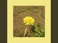 결코 선망善忘하지 않는다.