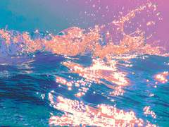 수면 위의 별조각