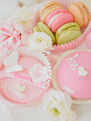 성탄절 비밀 연회 :: 포피포피 폼폼 하일라