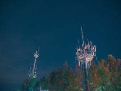 어느 종이비행기의 이야기(1)