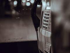 그들은 침묵했다