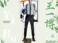 [타오바오] 왕이보 배그 아크릴 등신대