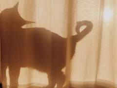 ‘이 지갑을 취득하셨다면 아래 번호로 연락주세요.’