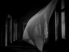 Check mate_프로필.