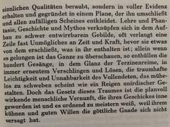 ️번역하기 — 17