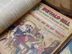 일다 다스미얼, 시작