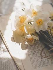 주저하는 연인들을 위하여