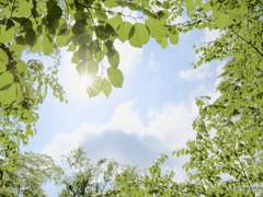 [알베아크]고백