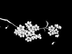 너르고 너른 하늘아, 너에게도 끝간 데가 있느냐?*