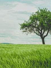 [하이큐드림] 어차피 남편은 우시지마